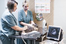 Ветеринарная клиника Биовет, с рейтингом 3.5 - находится по адресу Москва, Перервинский бульвар, 21, корп. 1 