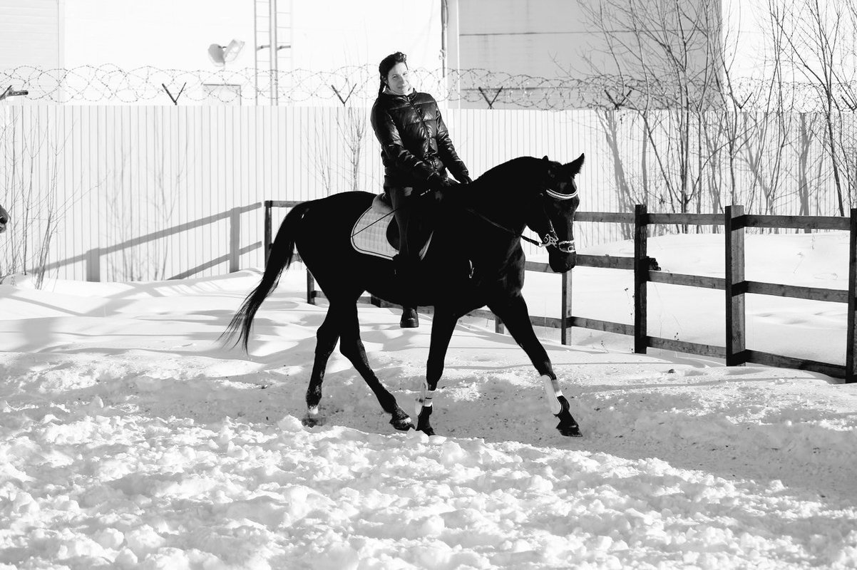 Красивый кск. Стили фото на лошади. Польза конного спорта. Черная и белая лошадь пара фото.