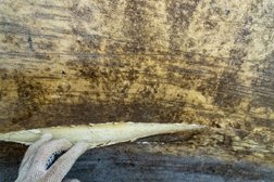 Строительная компания СУОР, с рейтингом 3.2 - находится по адресу Самара, Смышляевское шоссе, 1а 