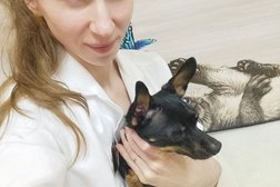 Ветеринарная клиника Ветконтиненталь, с рейтингом 3.2 - находится по адресу Хабаровск, улица Минина, 31 
