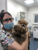 Сороченко Анастасия Вадимовна