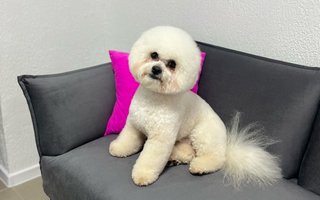 фотография работы ветеринара Ольги Туевой