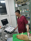 Дробенко Алексей Юрьевич