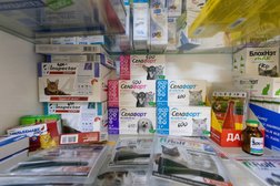 Ветеринарная клиника Винкот, с рейтингом 4.4 - находится по адресу Республика Башкортостан, Уфа, Юрия Гагарина, 41/3 