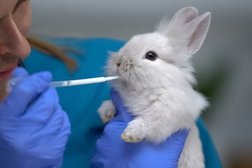 Выездная ветеринарная клиника Зоомир, с рейтингом 5 - находится по адресу Саратов, улица им. Академика Семёнова Н.Н., 19 