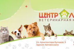 Центральная ветеринарная клиника на улице Архитектора Бутовой, 9, с рейтингом 3.9 - находится по адресу Старый Оскол, улица Архитектора Бутовой, 9 