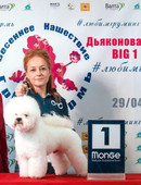 Дьяконова Светлана Валентиновна