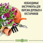 Станция Защиты Растений Интернет Магазин Москва Станция Защиты Растений Интернет Магазин Москва