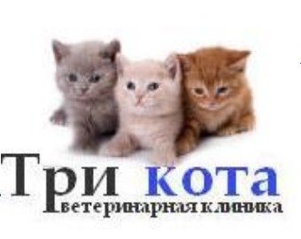 Стоматологическая клиника москва метро юго-западная