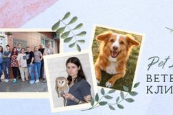 Ветеринарная клиника "Pet Lazaret", с рейтингом 4.9 - находится по адресу Московская область, Балашиха, улица Ситникова, 8 