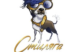 Груминг-студия Стиляга, с рейтингом 1.5 - находится по адресу Санкт-Петербург, проспект Героев, 30 