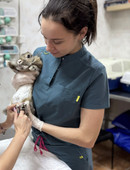 Калинова Виктория Андреевна