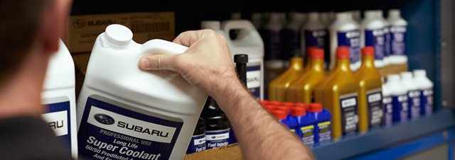 ������ ���� ������ ����������