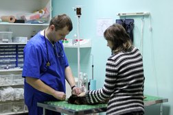 Ветеринарная клиника Авис, с рейтингом 3.5 - находится по адресу Люберцы, Октябрьский проспект, 373 