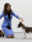 Рыженкова Ксения