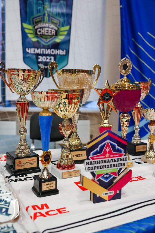 фотография работы Спортивного клуба Adl Forward Cheer на метро Народное Ополчение