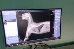 Ветеринарная клиника Кондор, с рейтингом 5 - находится по адресу Москва, Старокалужское шоссе, 62с4 