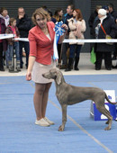 Щукина Татьяна Сергеевна