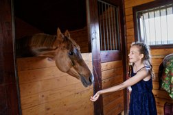 Конный клуб Капитан, с рейтингом 4.4 - находится по адресу Тульская область, д. Савино, коттеджный посёлок Новиково, 69а/1 