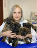 Ермолаева Наталья Викторовна