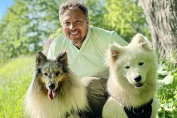 Школа дрессировки на улице Химиков в Менделеевске