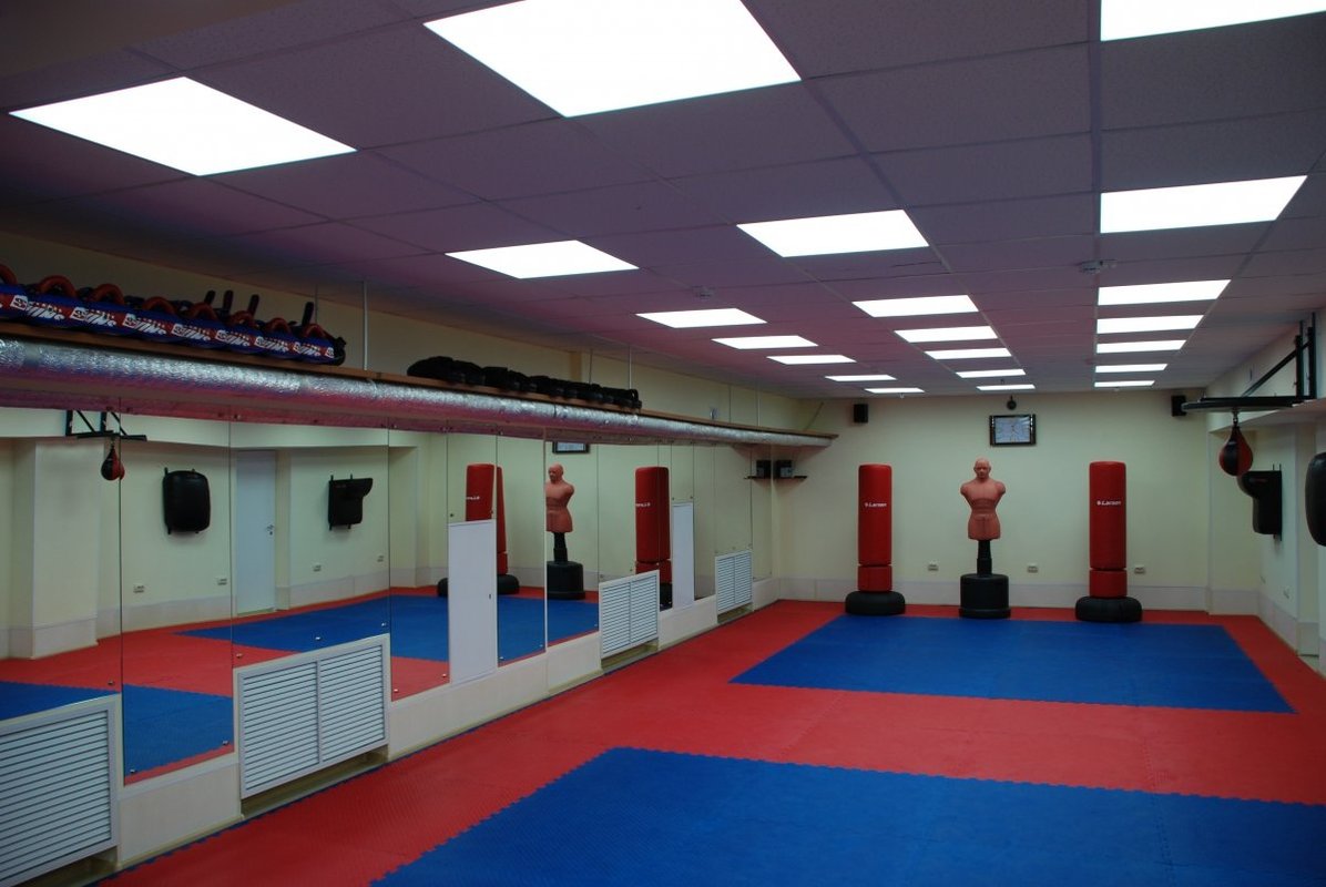 Спортивно оздоровительный центр. Московский центр боевых искусств зал. Спортивно оздоровительный клуб. Зал единоборств Михнево.