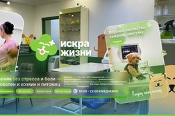 Ветеринарная клиника Искра жизни, с рейтингом 4.9 - находится по адресу Москва, Кутузовский проспект, 43 