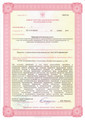 сертификат/документ Медицинского центра ИНСТИТУТ ДВИЖЕНИЯ на Октябрьском проспекте