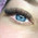 фотография Fly Lashes