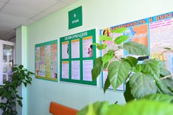 Женская консультация на улице Тополей, с рейтингом 3.4 - находится по адресу Самара, улица Тополей, 12 