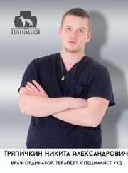 Ветеринарный врач УЗИ, ветеринар Никита Александрович Тряпичкин