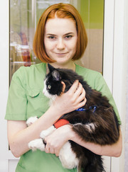 Ветеринарный врач-терапевт, ветеринар Дарья Дмитриевна Колягина