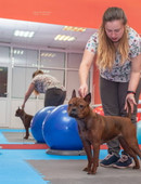 Мельникова София