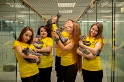 Гостиница для кошек Сэр Кот