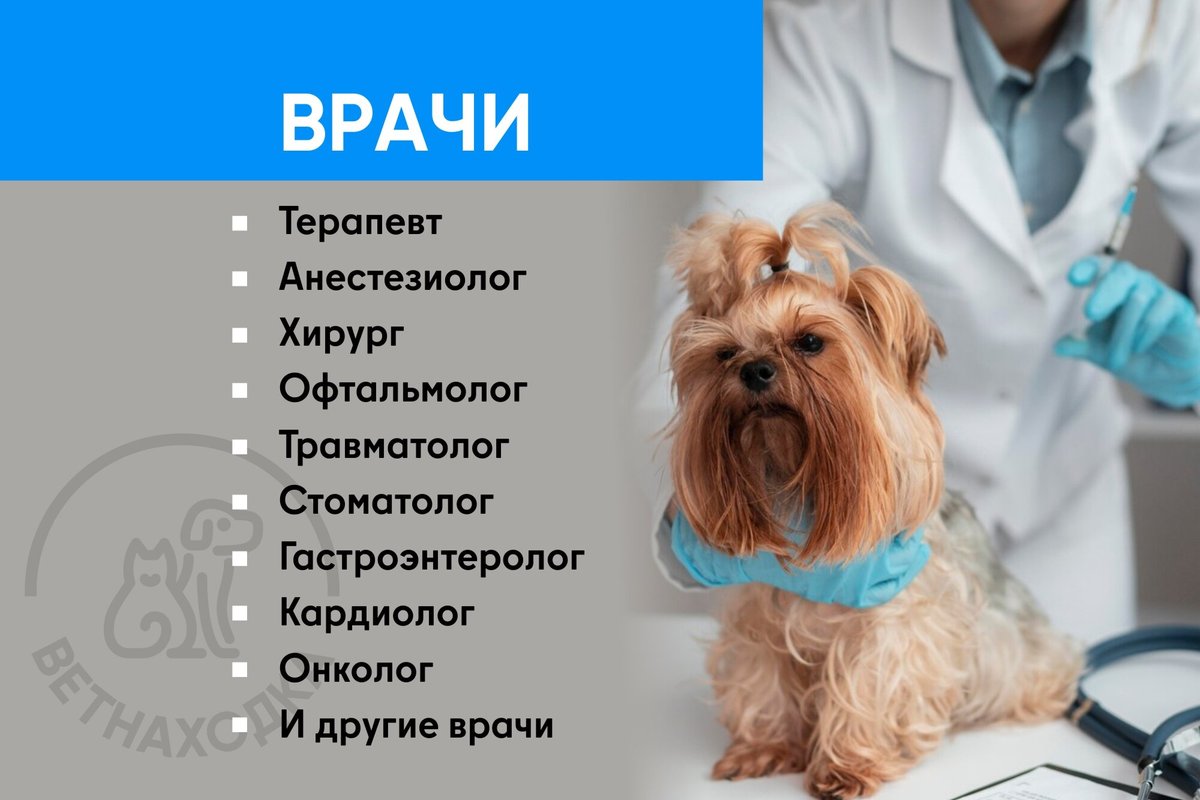 фотография Ветеринарной службы Ветнаходка в Зеленограде