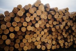 Производственно-строительная компания СеверЛес, с рейтингом 3 - находится по адресу Нижний Новгород, улица Стрелка, 4а 