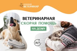 Ветеринарная служба Домашний ветеринар, с рейтингом 5 - находится по адресу Московская область, 143300, улица Маршала Жукова, 6Б, Бизнес-центр 
