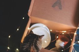 Гончарная мастерская Chalet Studio, с рейтингом 5 - находится по адресу Москва, Берсеневский переулок, 5 ст1 