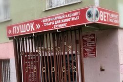 Ветеринарный кабинет Пушок, с рейтингом 4.1 - находится по адресу Сочи, Молокова, 28 