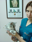 Аверьянова Александра Михайловна