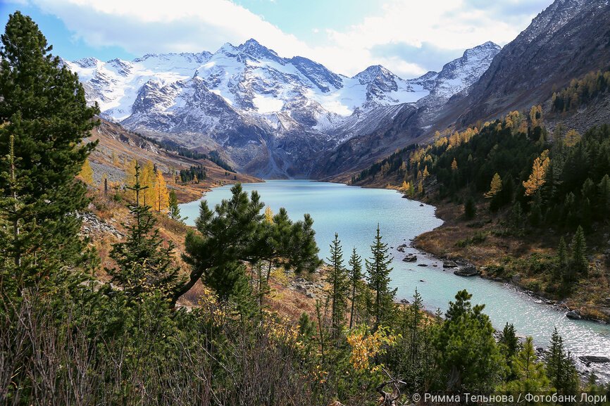 Вид на горы, озеро и лес