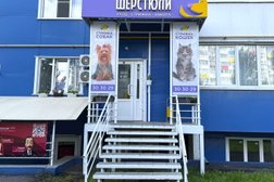 Груминг-салон Шерстюли, с рейтингом 5 - находится по адресу Пензенская область, с. Засечное, Светлая улица, 9 