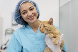 Станция скорой ветеринарной помощи и зоогостиница Любимец, с рейтингом 5 - находится по адресу Московская область, Балашиха, проспект Ленина, 76 