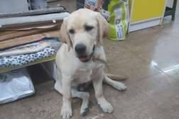 Зоомагазин ZooMarket.kz, с рейтингом 5 - находится по адресу Алматы, микрорайон Алмагуль, 3А 