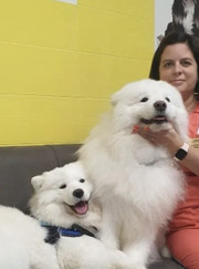 Ветеринарный врач-дерматолог, ветеринар Юлия Ивановна Скрынченко