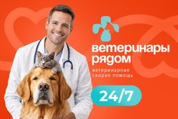 Ветеринарная служба Ветеринары рядом, с рейтингом 4.9 - находится по адресу Московская область, городской округ Красногорск, посёлок городского типа Нахабино, Институтская улица, 17 