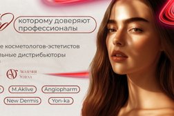 Академия Успеха