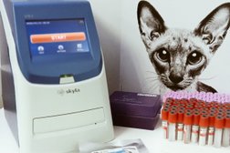 Ветеринарная клиника Белый пудель, с рейтингом 2.5 - находится по адресу Красноярск, улица Вильского, 16 