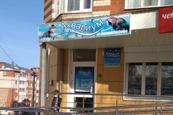 Зоомагазин Аквариум, с рейтингом 2 - находится по адресу Республика Мордовия, Саранск, улица Ульянова, 93 