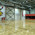 фотография Basket Hall